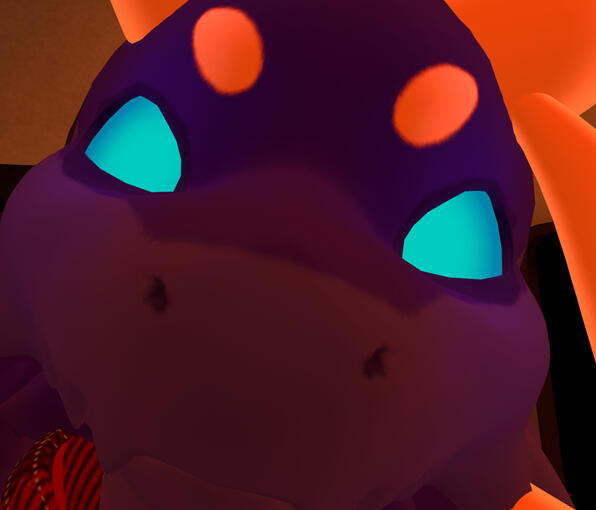 SNOOT